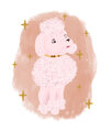 Image Not Available